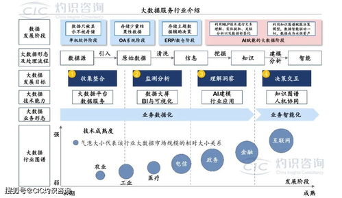 《中國商業大數據服務行業藍皮書》發布 洞見未來，數據賦能社會經濟咨詢新篇章